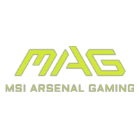 Msi MAG